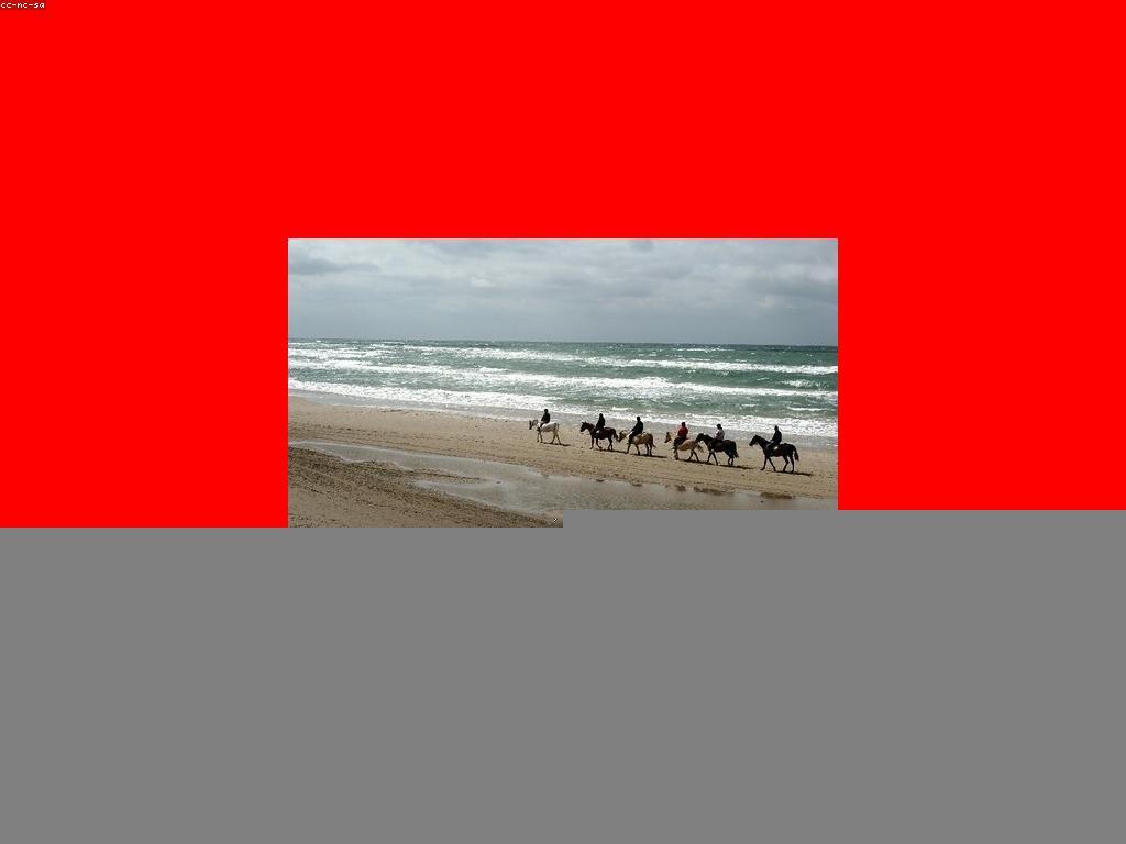 ការស្រាវជ្រាវអំពីវប្បធម៌ខ្មែរក្នុងការកម្សាន្តស្លូត