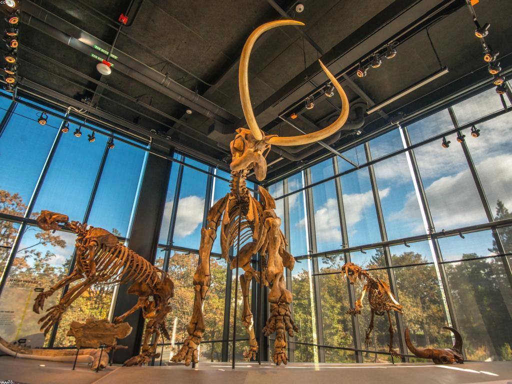 ការស្វែងយល់អំពីវប្បធម៌កម្សាន្តស្លូត