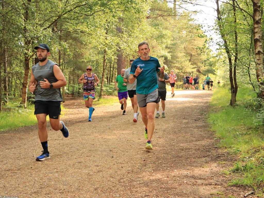 ការស្រាវជ្រាវអំពីវប្បធម៌កម្សាន្តស្លូត